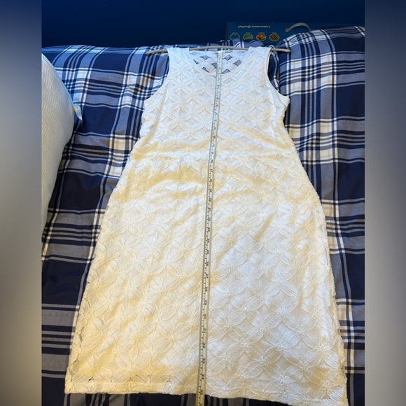 Banana Republic, lace shift dress - Picture 11 of 12